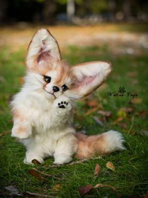 

Картина с алмазной вышивкой животных 20x30CM