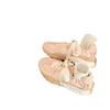 Women's shoes 2025 new winter popular platform dad shoes women's leather casual sports shoes campus Korean version of foreign trade