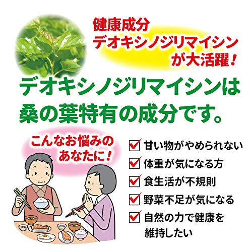 Banshoudo Mulberry Leaf Tea, 100g Powder, Made in Japan, Powdered Mulberry Tea, Benefits, Green Juice, Pesticide-Free, Caffeine-Free, Made in Kumamoto