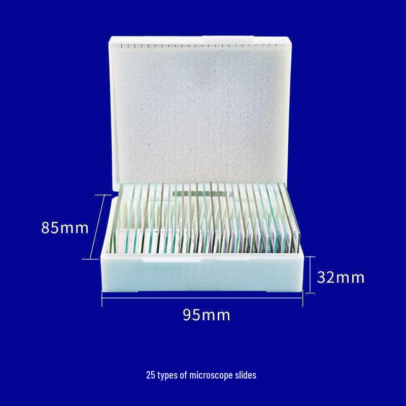 Microscope Specimen Mount: Four Major Human Tissues for Junior/High School - Nerve, Epithelial, Connective, and 'e' Slide
