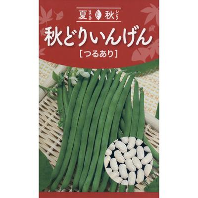 Tohoku Zaad Herfst Oogst Stamboon Festival 01451 Japanse Groentezaden 20ml