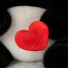 Love Panda Soft Stuffed Plush Toys Valentine's Day Red Heart Cute Animal Panda Plushies Doll Girls Romantic Gifts For Couple