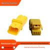 3P3 Hole Automotive Wiring Harness Plug Connector 211PL032S4049
