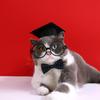 With Tassel Cat Graduation Cap Felt Dog Degree Hat Puppy Cap Dog Dr. Hat  Photograph