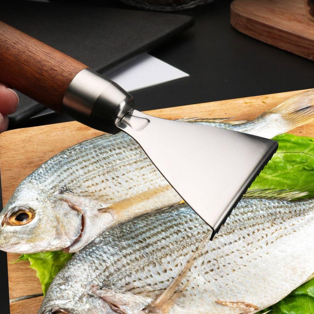 Wood/Plastic Handle Manual Fish Scaler Tool Fish Scale Scraper Seafood Preparation