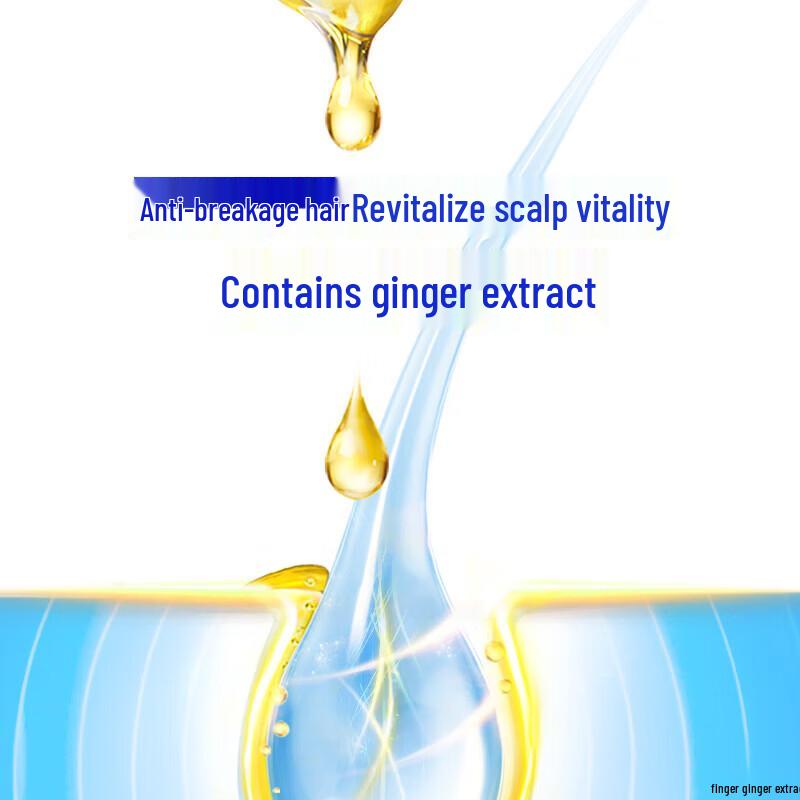 Head & Shoulders Anti-Breakage & Strengthening Anti-Dandruff Shampoo