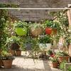 Plastic Hanging Flower Pot European Style Macrame Plant Hanger Imitation Rattan Hanging Pot  Garden