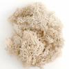 20g Artificial Flower Moss Grass Artificial Green Plant Immortal Living Room Decorative Wall DIY Flower Accessories