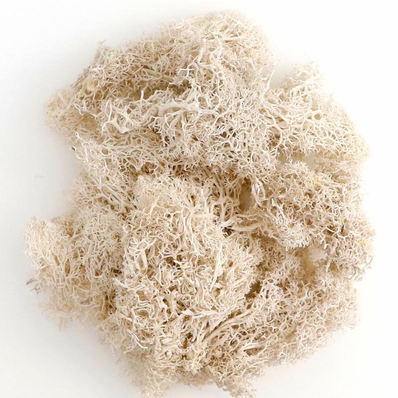 20g Artificial Flower Moss Grass Artificial Green Plant Immortal Living Room Decorative Wall DIY Flower Accessories