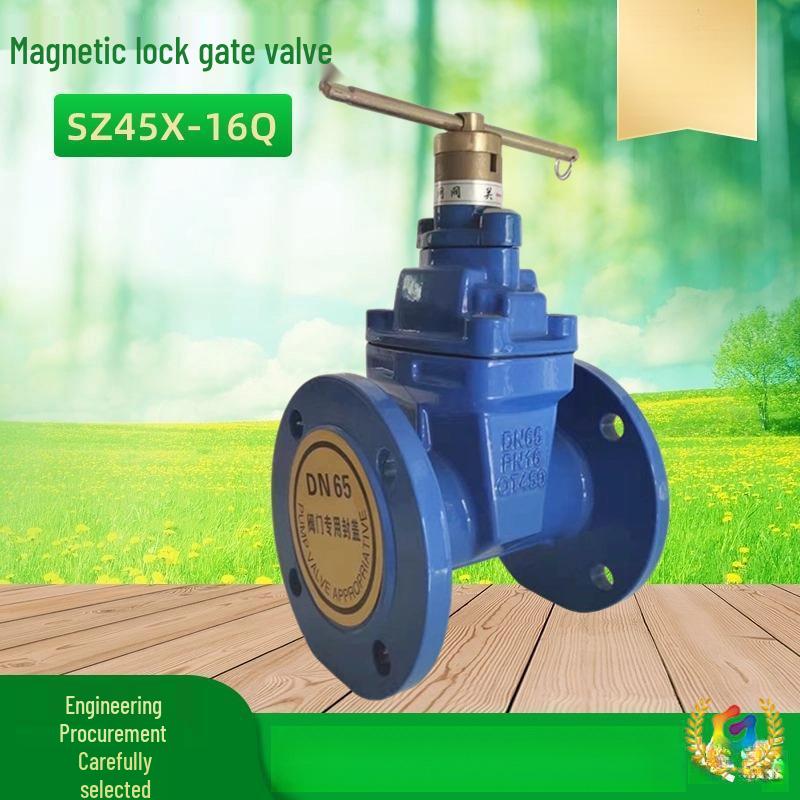 Magnetic Flanged Anti-Theft Gate Valve SZ45X for Farmland Irrigation and Water Management