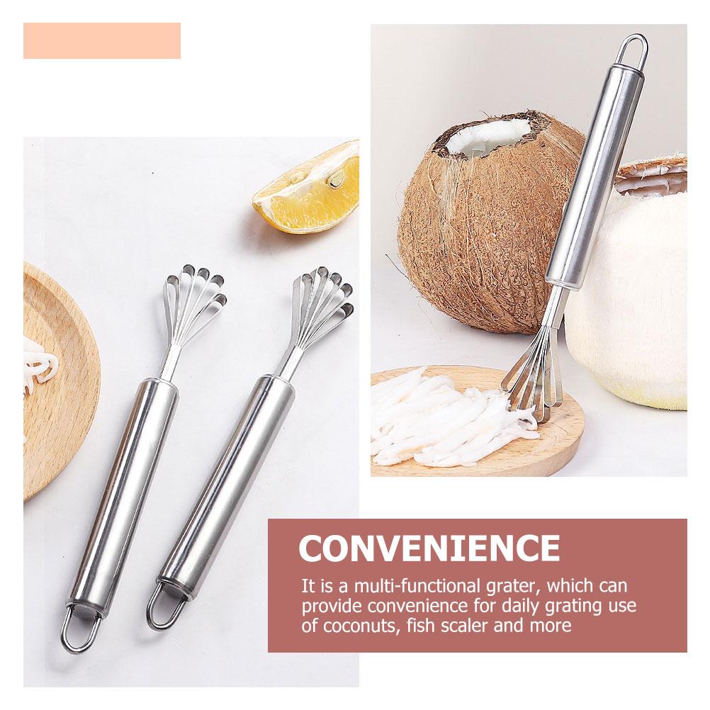 3 Pcs Coconut Grated Professional Grater Fish Scaler Metal Remover Handheld Meat Scraper Stainless Steel Efficient Kitchen Tool