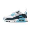 Air Max 90 EasyOn PS 'Baltic Blue' HF6357-100