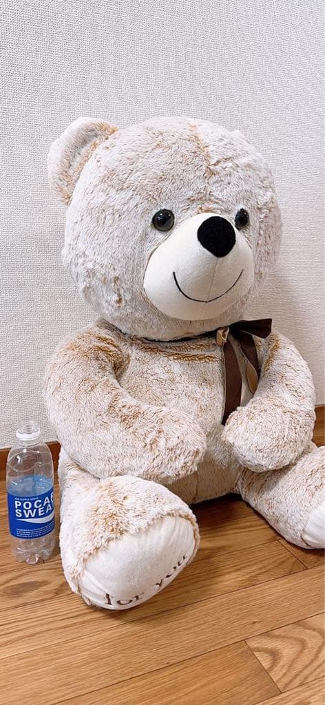 [USED] Large Teddy Bear, Brown, Christmas, Bouquet, Mother's Day