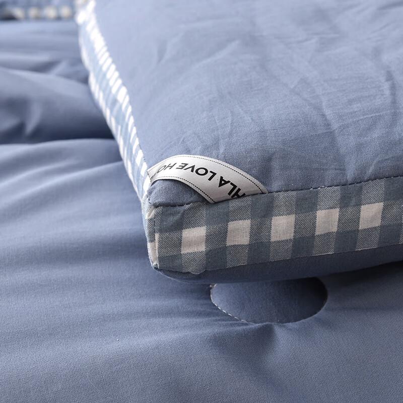Heilan Home Antibacterial Xinjiang Cotton Quilt
