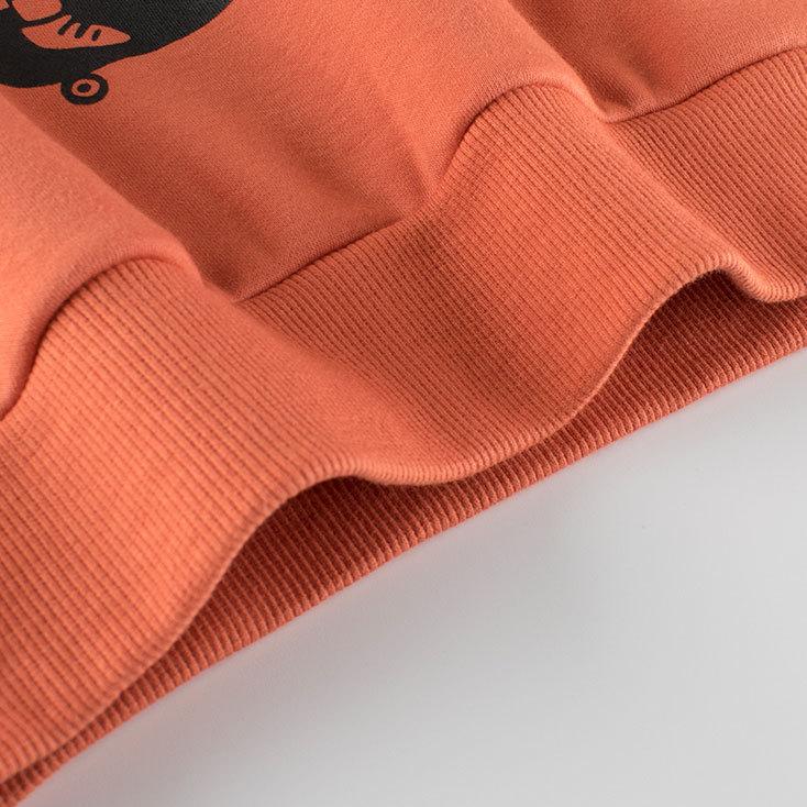 Baby and Toddler Boys' Fleece Sweatshirt Boys Cartoon Dinosaur No Cap Crew-Neck Sweatshirt Long Sleeve Pullover Shirt