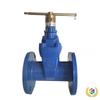 Magnetic Flanged Anti-Theft Gate Valve SZ45X for Farmland Irrigation and Water Management