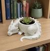 3D Printed Sleeping Dragon Succulent Pot - Creative Desktop Decoration Ornament and Gift