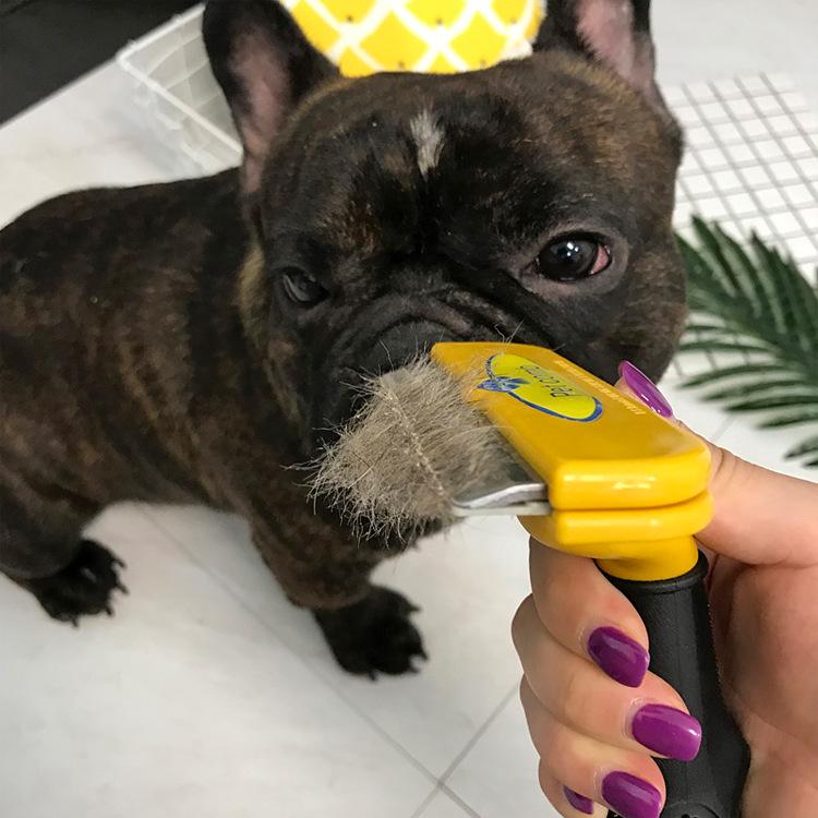 Top-Selling Pet Hair Removal Comb for Dogs and Cats