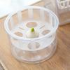 Tulip Bulb Planter Hydroponic Plant Growing Container with Clear Water Reservoir Multi-Hole Hydroponic Planter for Home Gardening Narcissus Hyacinth