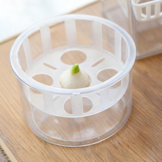 Tulip Bulb Planter Hydroponic Plant Growing Container with Clear Water Reservoir Multi-Hole Hydroponic Planter for Home Gardening Narcissus Hyacinth