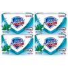 Safeguard Peppermint Icy Cool Bar Soap (4-Pack)