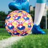Sailor Moon Theme Size 5 Soccer Ball, Suitable for Both Indoor and Outdoor Matches, a Gift Suitable for Everyone.