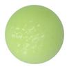 6pcs/set Luminous Golf Ball Double Layer Night Fluorescent Golfballs for Golf Practice
