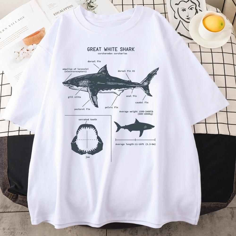 Great White Shark Anatomy TShirt Womens New Summer Street Short Sleeve Hip Hop Punk Style Casual Tops White Tops S