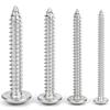 304 Stainless Steel Self-Tapping Screw Set - Mushroom and Umbrella Head