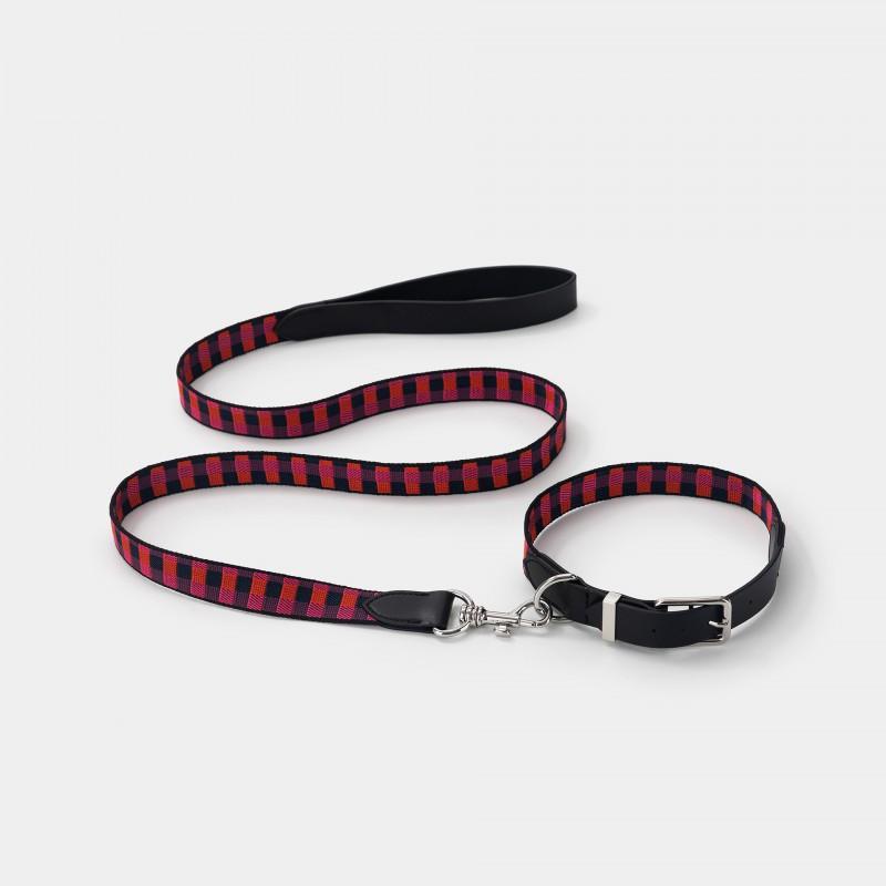 Luxury INS Style Dog Collar Leash Set Soft Webbing With Genuine Leather Small Medium Large Dogs