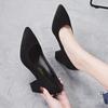Black Formal Coarse Follow-up Shoes 2026 New Style Temperament High Heels Versatile Professional Pointed Work Women's Shoes