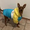 Otoño Invierno sudaderas con capucha para mascotas ropa para perros impermeable abrigo para perros chaqueta cálida a prueba de viento ropa para cachorros ropa para mascotas Chihuahua ropa para Bulldog Francés