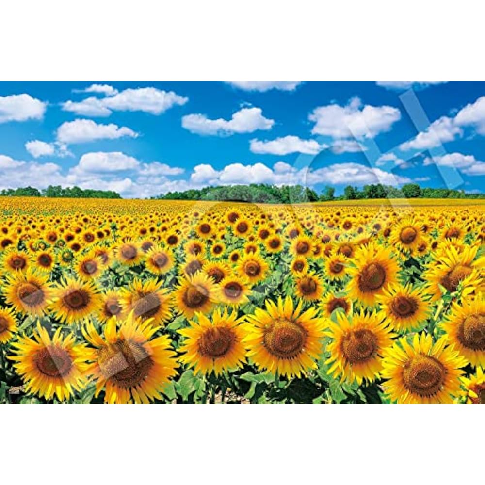 Epoch 1000 Piece Jigsaw Puzzle Japan Scenery Sunflower Village - Hokkaido (50 x 75 cm) 09-029s wi...