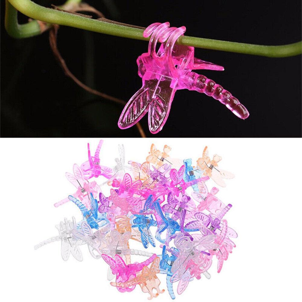 30Pcs Plant Fixing Clips Lightweight Plastic for Supporting Orchids and Garden Vines Essential Gardening Tools