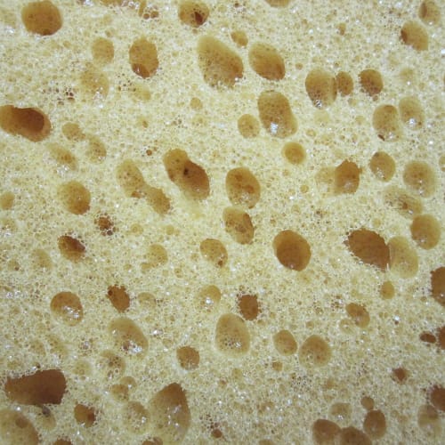 Eiger Extra Large Sponge No.1