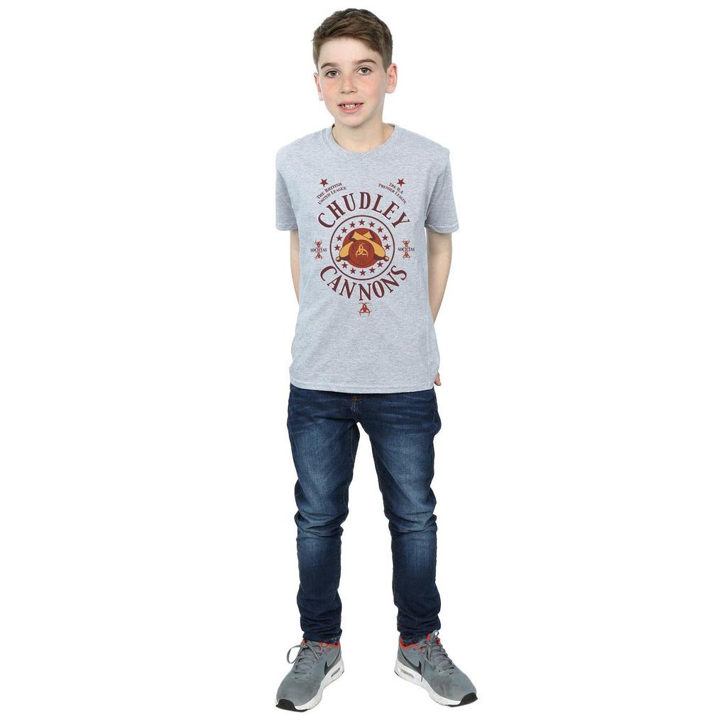 Harry Potter Boys Chudley Cannons Logo T-Shirt