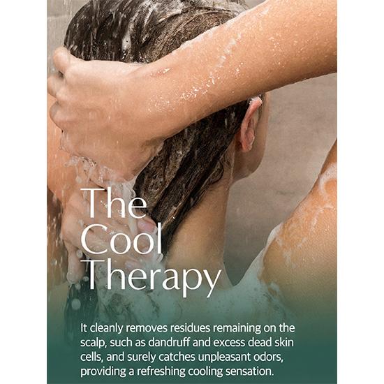 DR.SEED Peppermint & Lemon Vegan Dandruff Care Cool Shampoo 1000ml , Scalp Scrub Shampoo 250ml (7 Options)