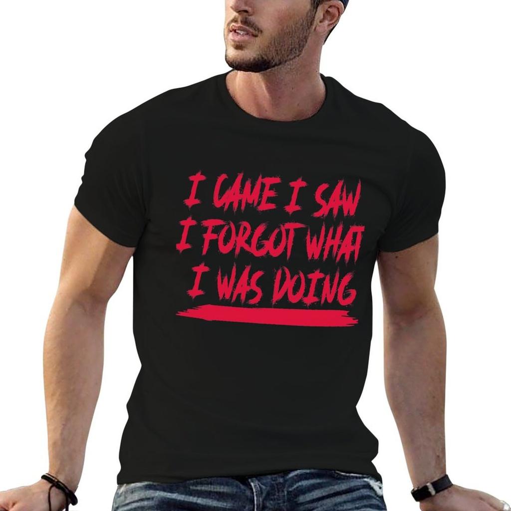 I Cam I Saw I Forgot What Was Doing Funny Artist Tshirt Casual Graphic Print Tee