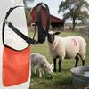 Adjustable Strap Goats Anti Breeding Apron Breathable Anti Mating Sheep Skirt  Goat Farming