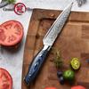 5 Inch Utility Knife 67 Layers Japanese Damascus Steel VG10 Kitchen Cooking Tools