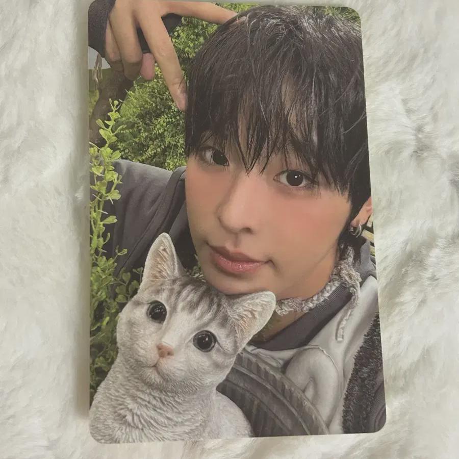 

Ncitywish Color Album Pocarique Jewel