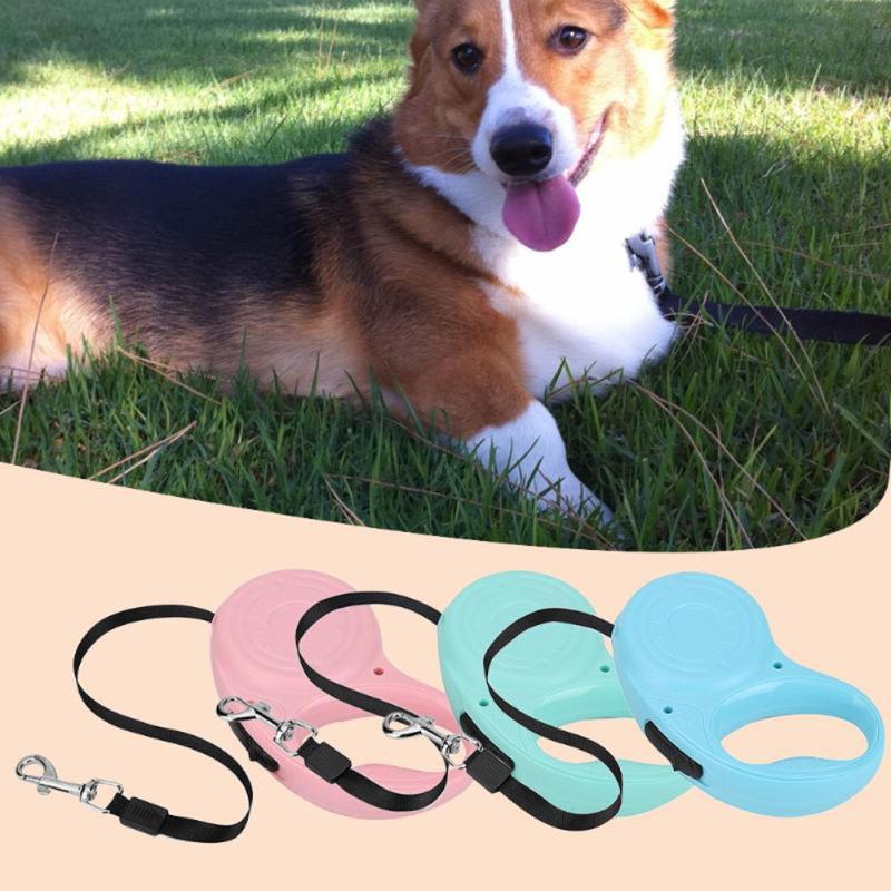 non retractable leash