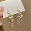Long Tassel Artificial Pearl Beaded Drop Earrings for Women Delicate Ear Jewelry Accessory Perfect for Valentines Day Daily or Party Occasions