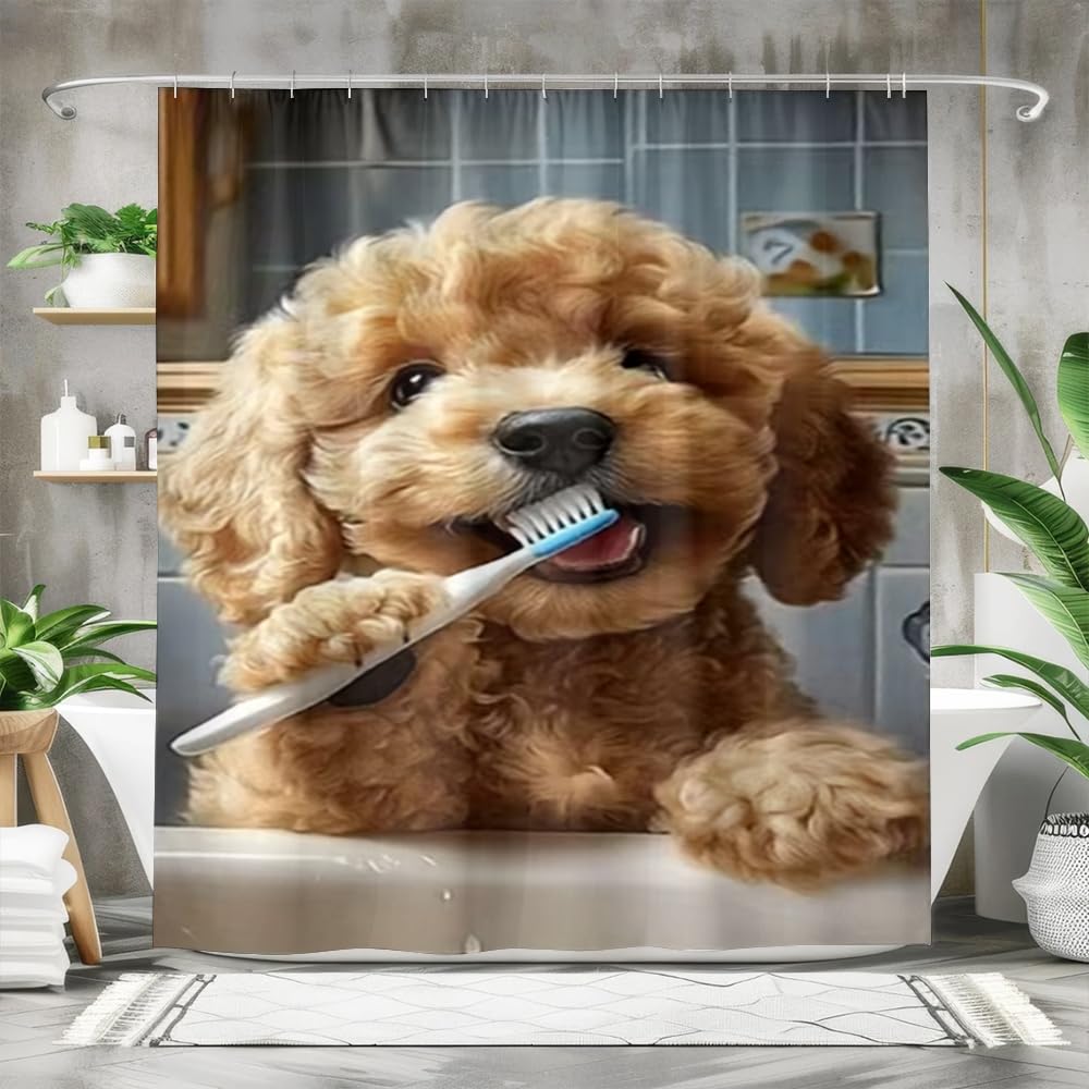 Funny Animal Shower Curta Bernese Mountain Dog Sitting on The Toilet and Reading Newspaper Bathroom Curtain Bathroom (as the picture,W90xH180cm-35x70in)