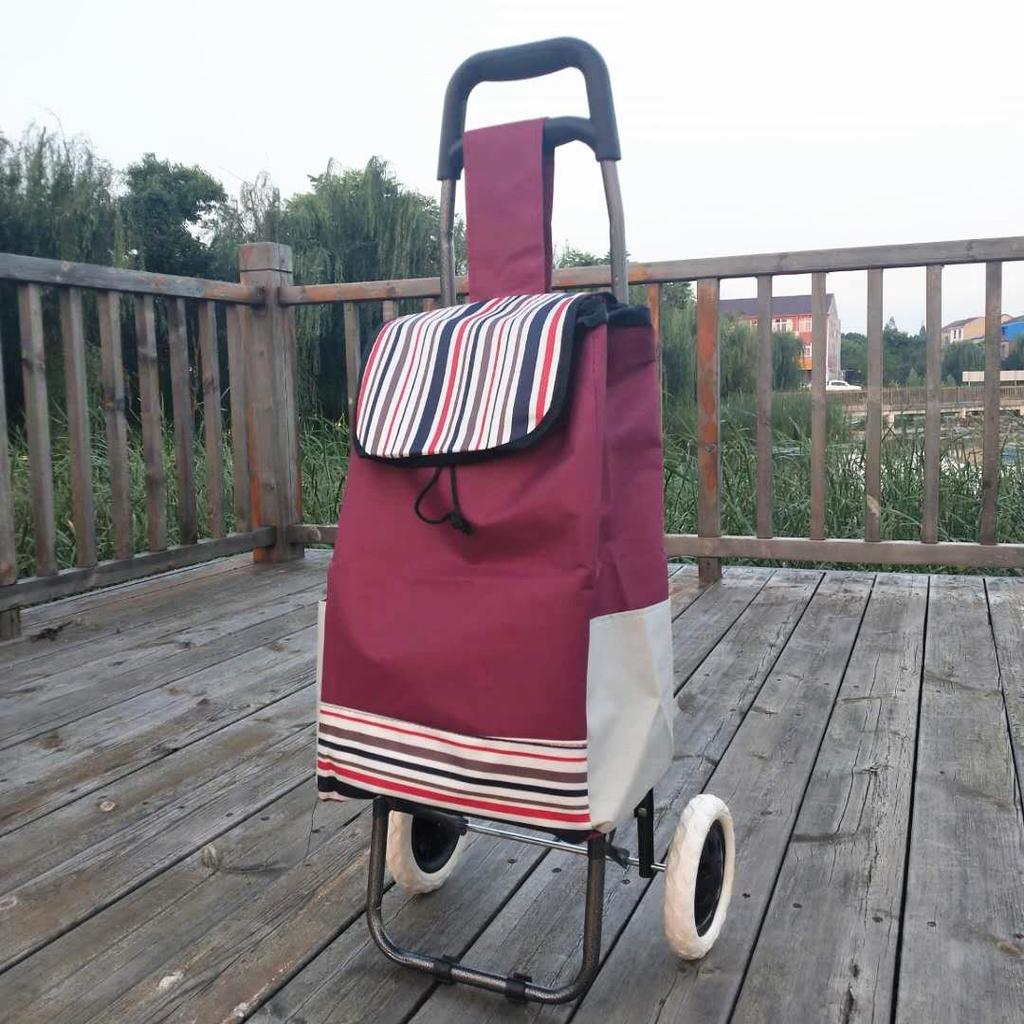 Carro Plegable Ligero para Personas Mayores - Carrito Portátil para Compras, Equipaje y Transporte