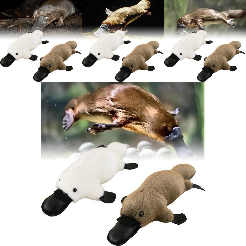 Soft And Cuddly Platypus Plush Toy For Kids Ideal Comforting Buddy And Car Decor