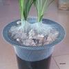 High Elasticity Leak-Proof Orchid Pot Mesh Net Cover