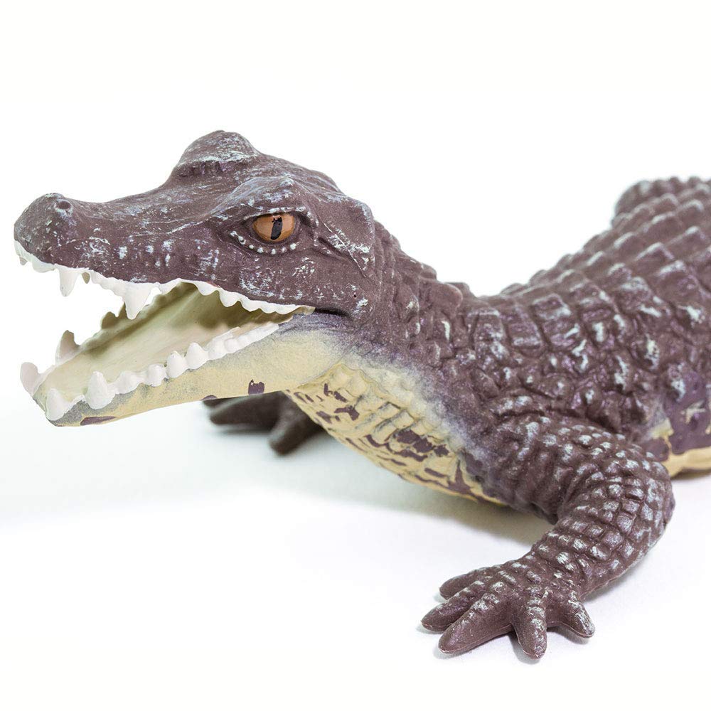 Safari Caiman Crocodile Figure 100238