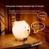 Cute Offline Voice Control Rechargeable Kids Night Light