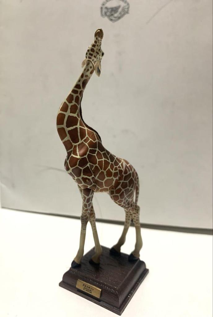 [USED] Nature Technicolor Reticulated Giraffe Savanna